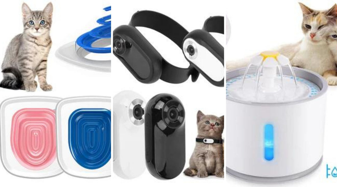 Top Pets Care Products for Your Furry Friends Must Haves for Pet Owners