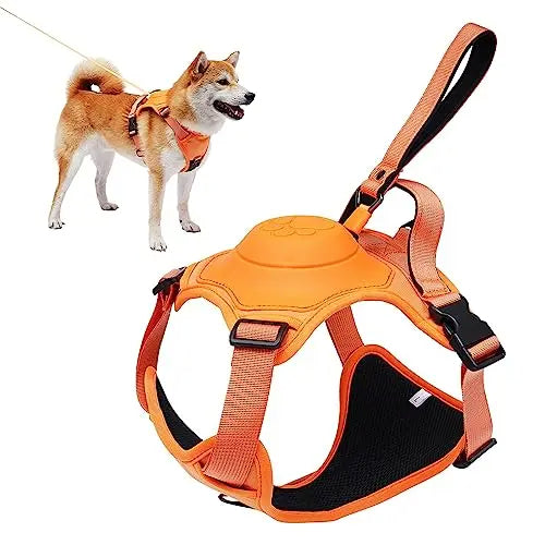 Kit de arnés y correa retráctil automática para perros