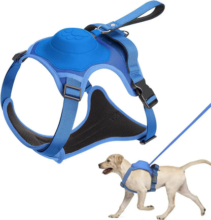 Kit de arnés y correa retráctil automática para perros