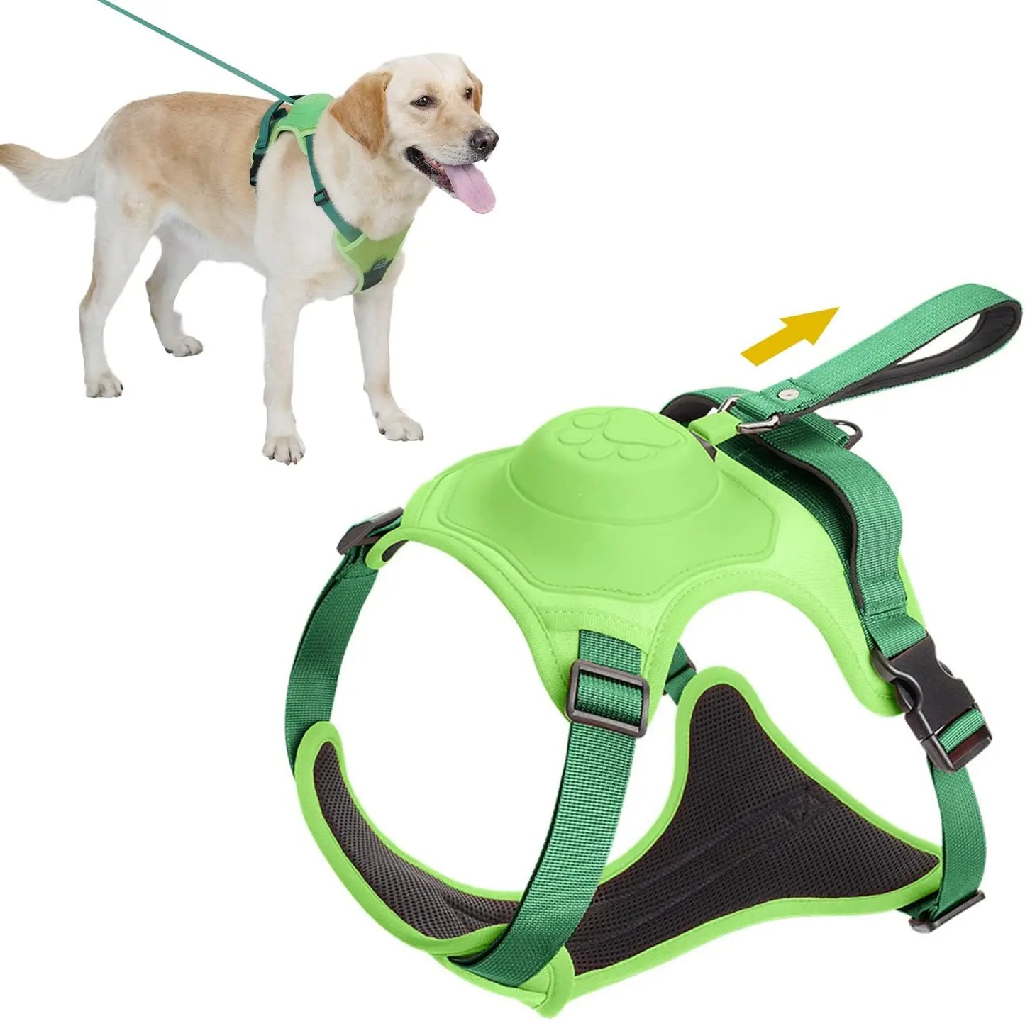 Kit de arnés y correa retráctil automática para perros